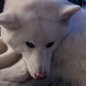 Meet your Posher, Kristine